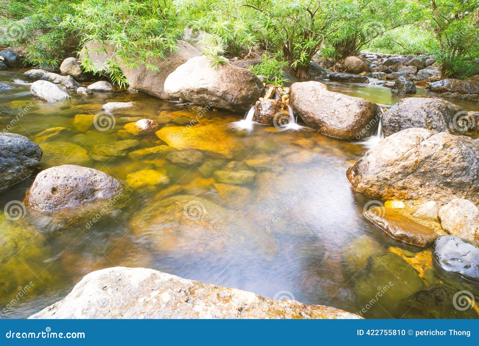 Crystal clear mountain stream flowing over rocks